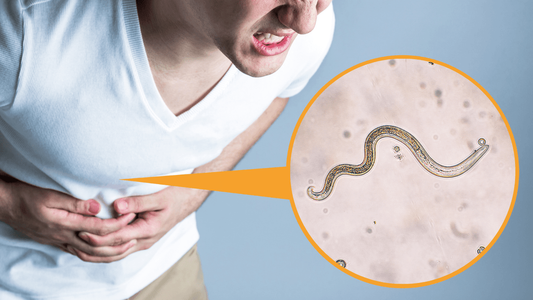 Parasites in the body - Pure Nutrition