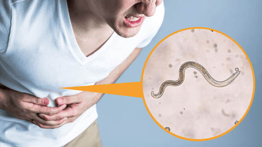 Parasites in the body - Pure Nutrition